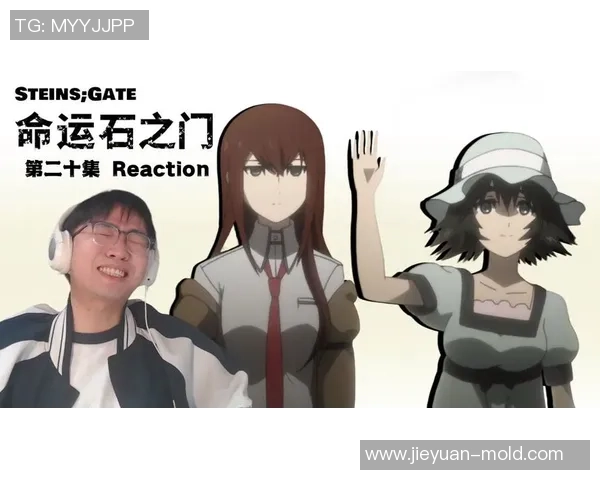 探索命运的交错与选择的力量命运石之门阅读体验分享